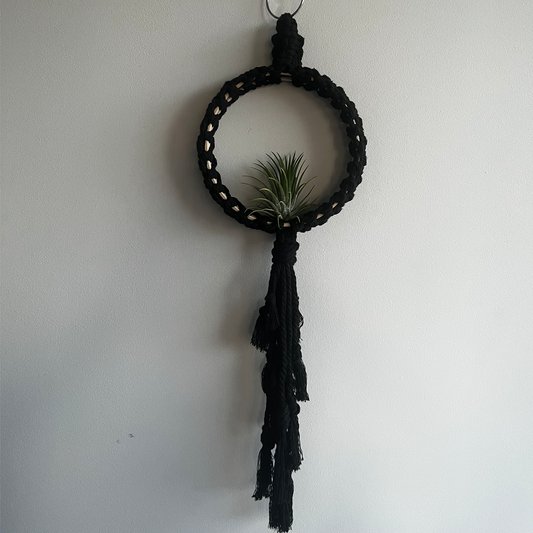 Plant Dreamcatcher